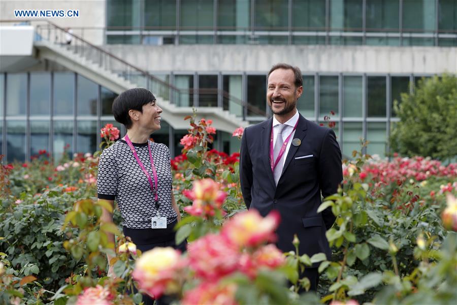 UN-SECURITY COUNCIL-NORWAY-SEAT-CAMPAIGN