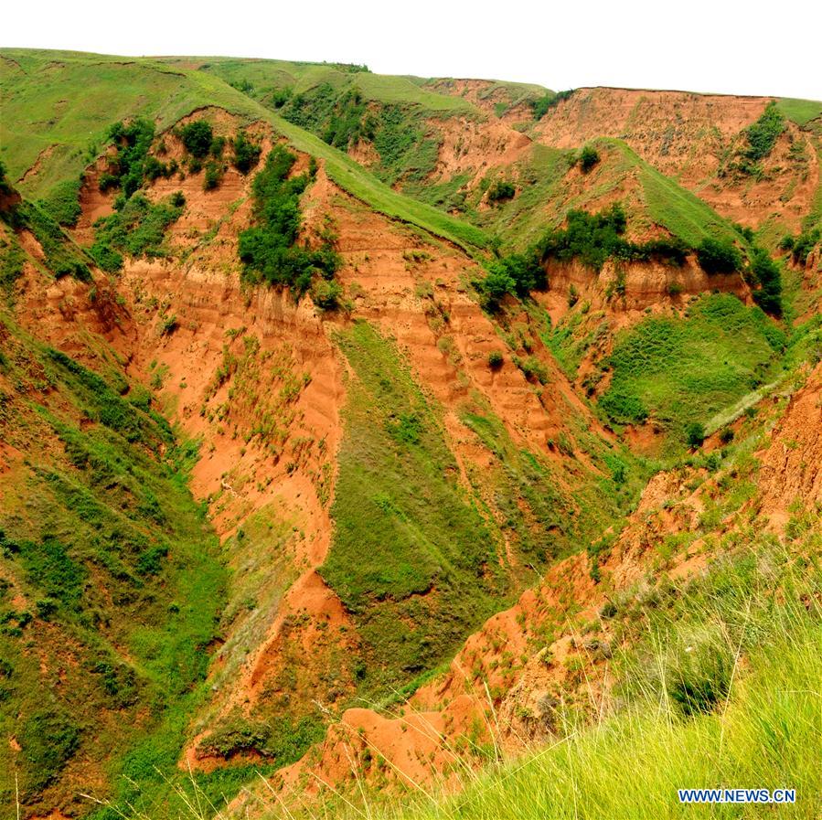 #CHINA-SHAANXI-EARLIER HUMANITY-DISCOVERY (CN*)