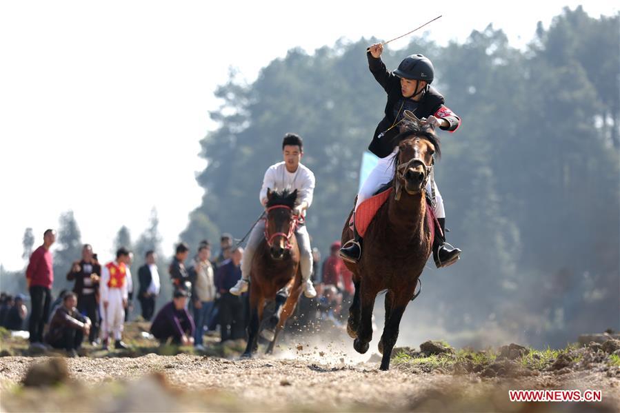 #CHINA-SPRING FESTIVAL-CELEBRATION-HORSE (CN)