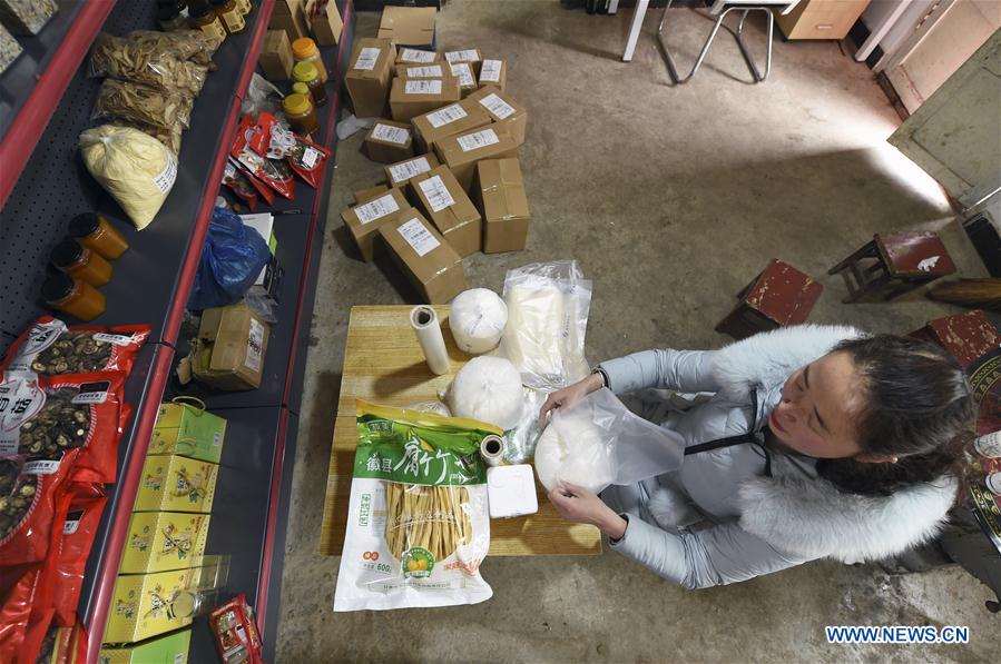 (TWO SESSIONS)CHINA-GANSU-NPC-DEPUTY-RURAL E-COMMERCE (CN)