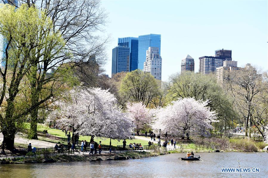 U.S.-NEW YORK-SPRING-SCENERY