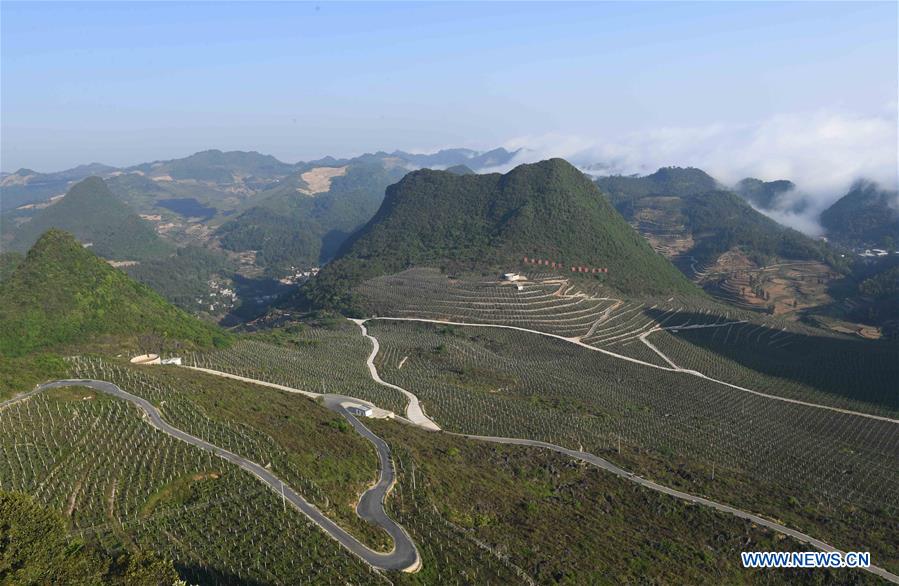 CHINA-YUNNAN-XICHOU COUNTY-POVERTY ALLEVIATION (CN)