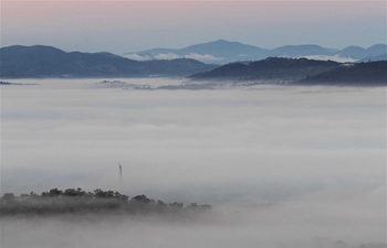 Fog scenery in Canberra, Australia