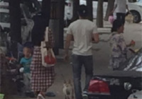 組圖：天天秀恩愛(ài)！范冰冰李晨甜蜜遛狗引圍觀