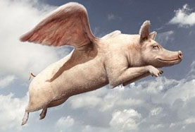 風口上A股的十大&ldquo;飛豬&rdquo; 你抓住了幾頭