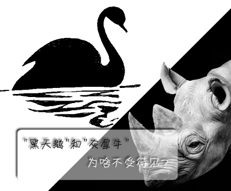 "黑天鵝"和"灰犀牛"為啥不受待見？