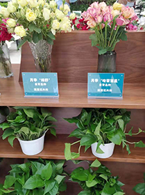 科技保障農(nóng)產(chǎn)品安全與營養(yǎng) 中國農(nóng)科院第三屆農(nóng)科開放日在京啟動