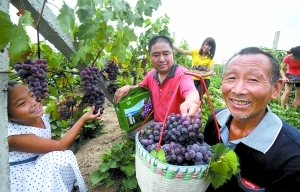 力爭“城鄉(xiāng)收入差距持續(xù)縮小” 富裕農民出實招