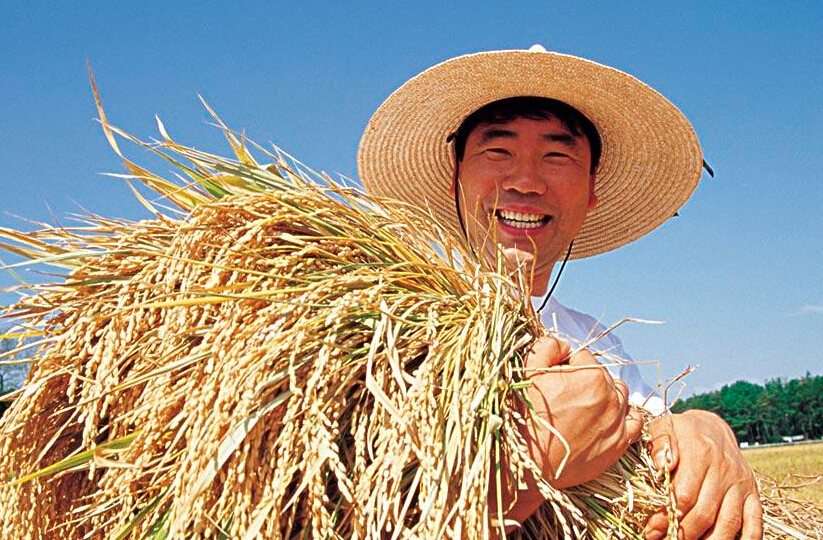 2015年中央一號文件發(fā)布 連續(xù)第12年聚焦&ldquo;三農&rdquo;