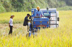 農(nóng)村改革:24個試驗區(qū)允許政策和體制突破