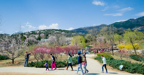 美到無法呼吸！&ldquo;西山晴雪&rdquo;攝影大賽來了