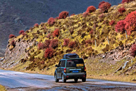 天微涼葉漸黃，最美風(fēng)景是家鄉(xiāng)