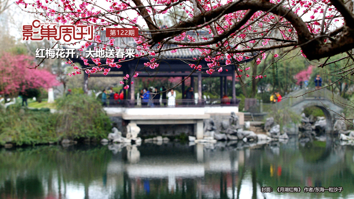 【影巢周刊】紅梅花開(kāi)，大地送春來(lái)