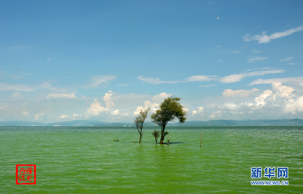 陽(yáng)光昆明，爽爽的春城