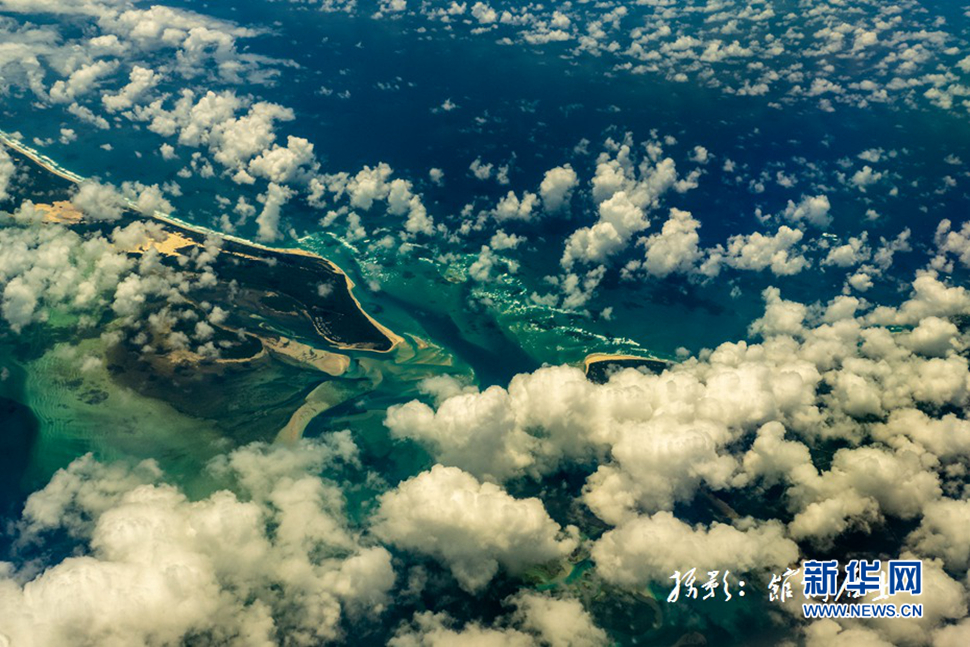 飛躍太平洋，跨越秋與春