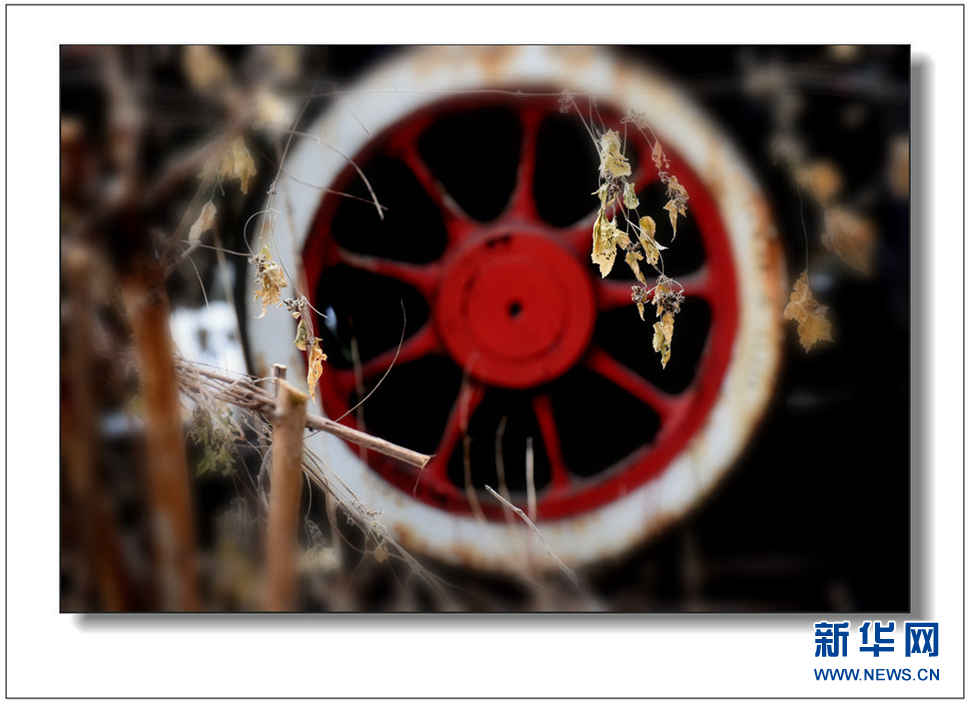 《遺世流年抹滄?！?>	</a></div>
</div>
<div   id=