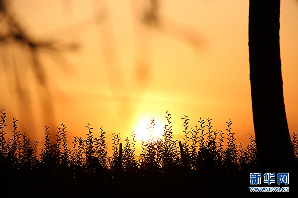 日落西山頭，人約黃昏后