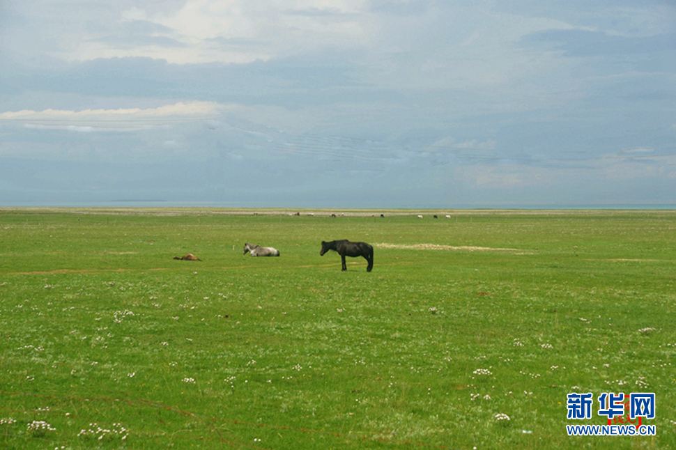 高原放歌之那山、那寺、那朵云