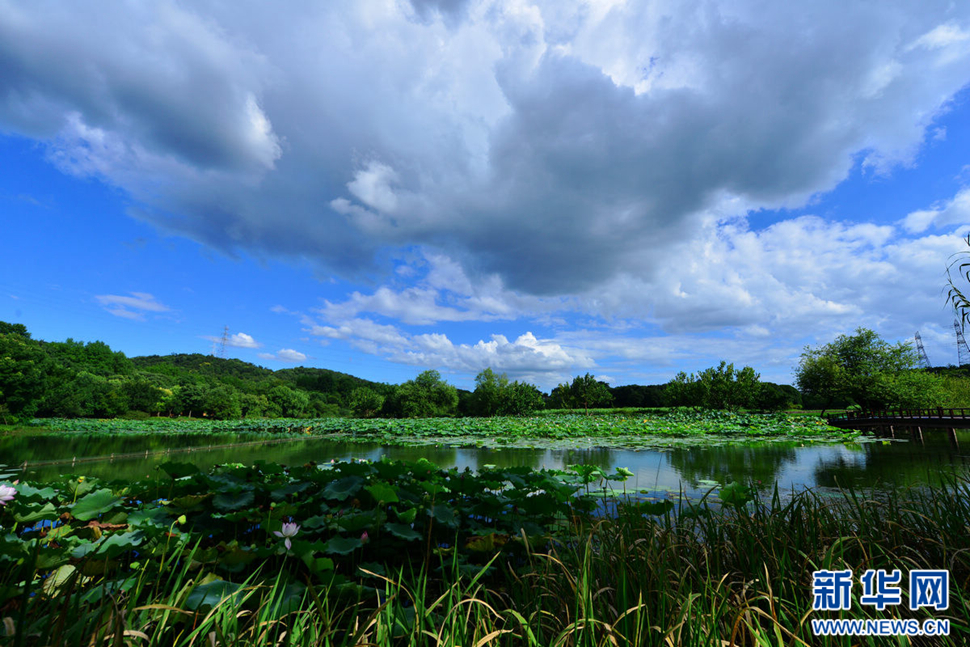秋高氣爽，行攝八掛田