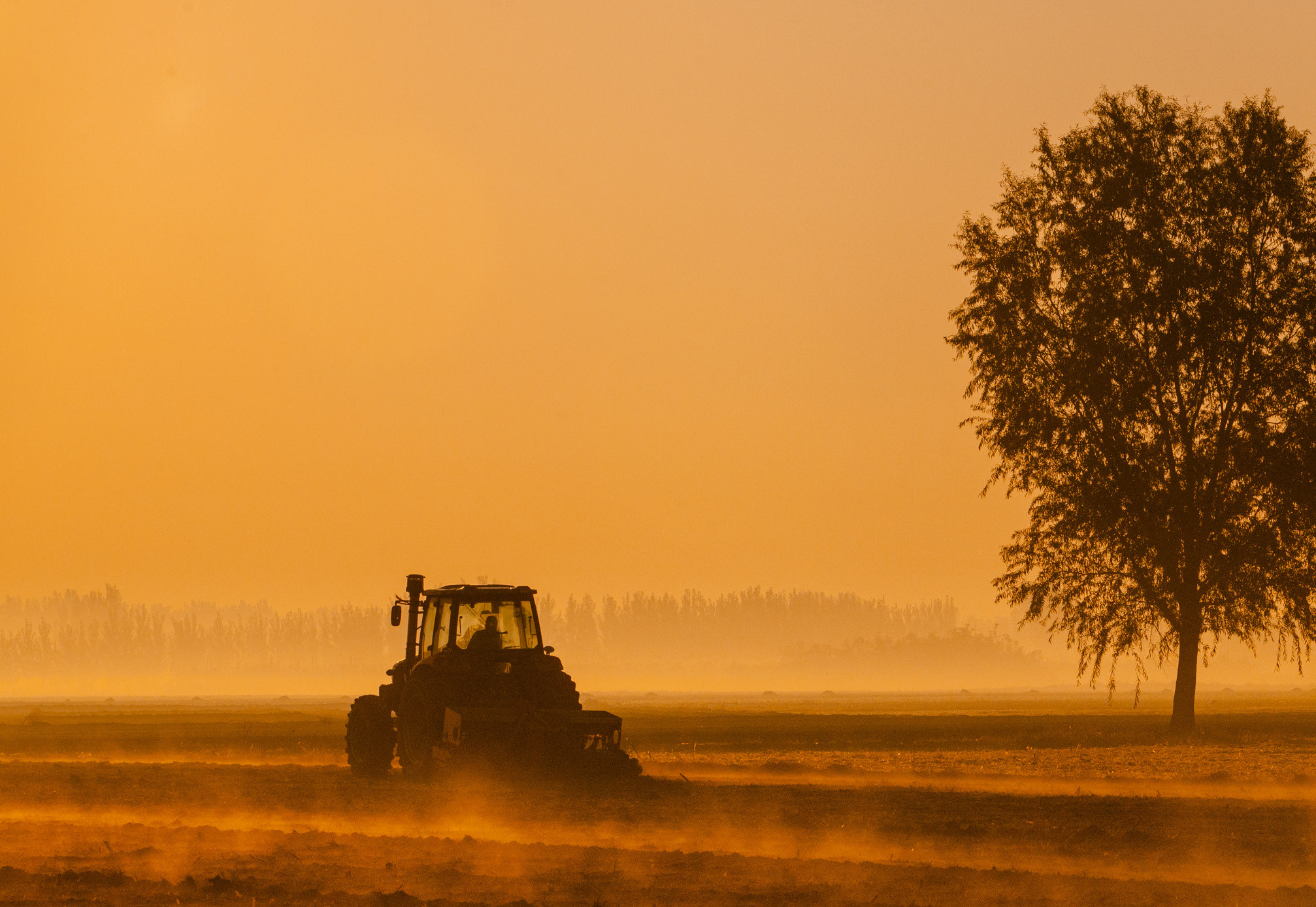 山東農(nóng)業(yè)信貸擔保公司繪就財金支農(nóng)惠農(nóng)“新畫卷”