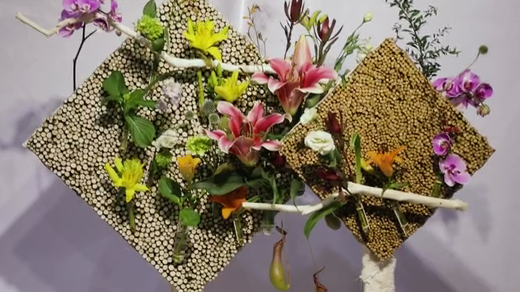 如此動(dòng)人，和百合來場(chǎng)約會(huì)吧！