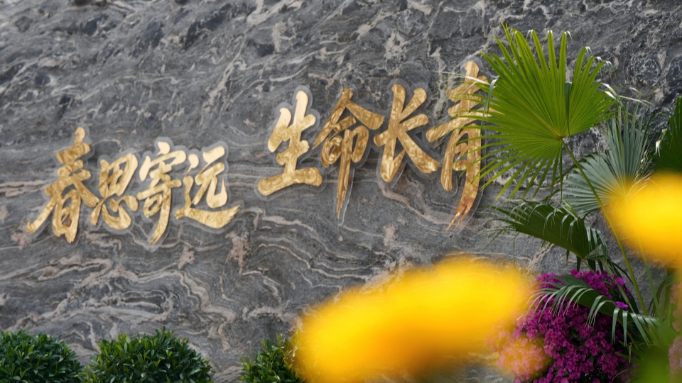 新華網(wǎng)民生觀察丨生態(tài)安葬，從被動(dòng)接受到主動(dòng)預(yù)約