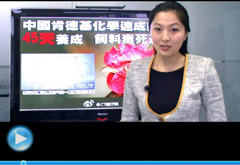 權威聲音：&ldquo;快時代&rdquo;究竟還有什么可以速成？