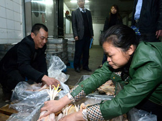江西宰殺、冷凍積壓禽肉 緩解H7N9禽流感影響