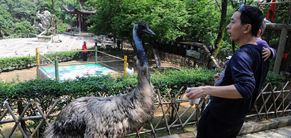 長(zhǎng)沙鳥語(yǔ)林群鳥體檢合格 百鳥與市民&ldquo;共歡&rdquo;