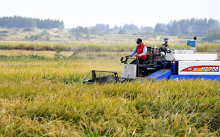 40年，小崗人的18個(gè)&ldquo;第一次&rdquo;