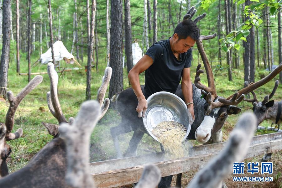 【聚焦脫貧攻堅(jiān)】這組數(shù)字，來(lái)之不易