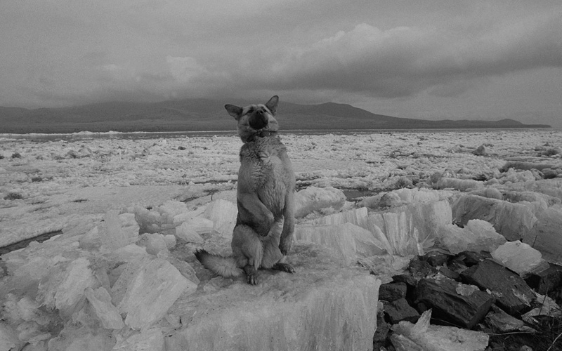 線云強作品:東方第一哨，最早迎接太陽的士兵