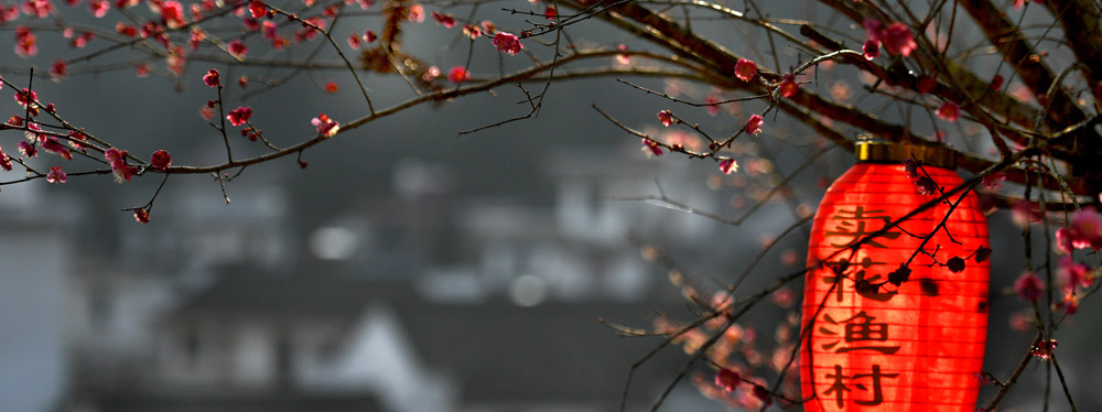 春來(lái)花開(kāi)，綻放正當(dāng)時(shí)