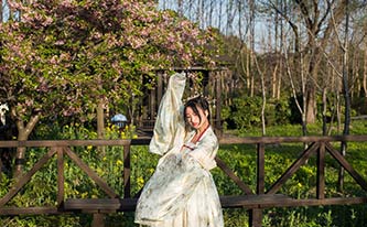 徜徉櫻花花海，來(lái)場(chǎng)動(dòng)漫之旅