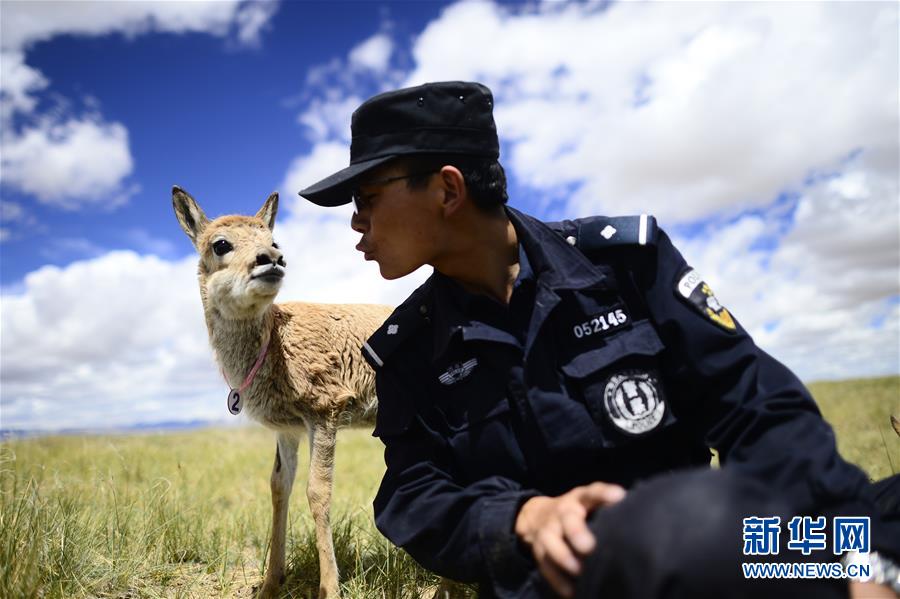 （十九大&middot;讀報告 話民生）（8）加快生態(tài)文明體制改革，建設美麗中國