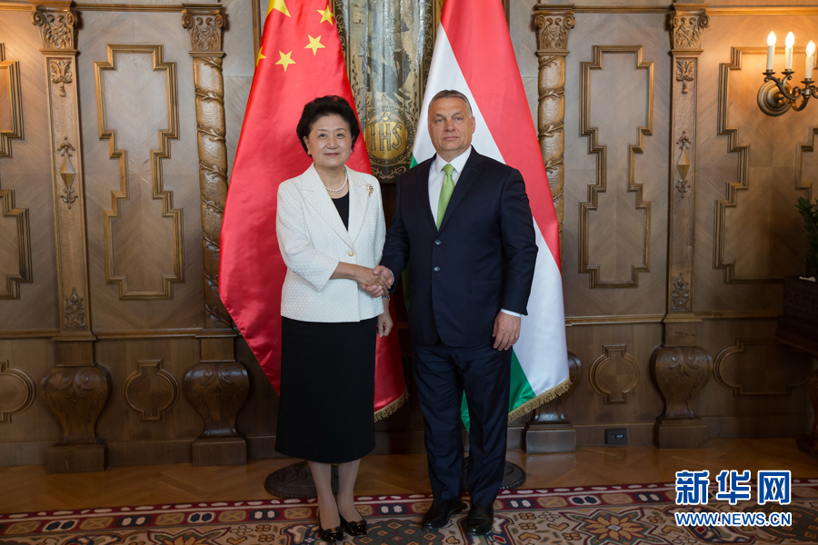  6月21日，國務(wù)院副總理劉延?xùn)|（左）在匈牙利布達(dá)佩斯國會(huì)大廈會(huì)見匈牙利總理歐爾班。 新華社發(fā)（弗爾季&middot;奧蒂洛攝）