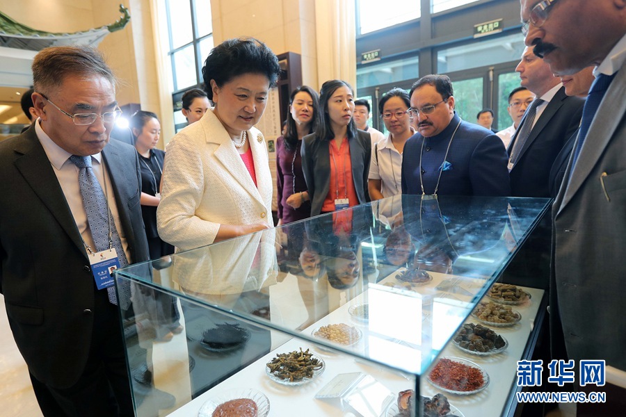 7月6日，金磚國家衛(wèi)生部長會暨傳統(tǒng)醫(yī)藥高級別會議在天津開幕。這是國務(wù)院副總理劉延?xùn)|與外賓一起參觀傳統(tǒng)醫(yī)藥文化展。 新華社記者 張玉薇 攝