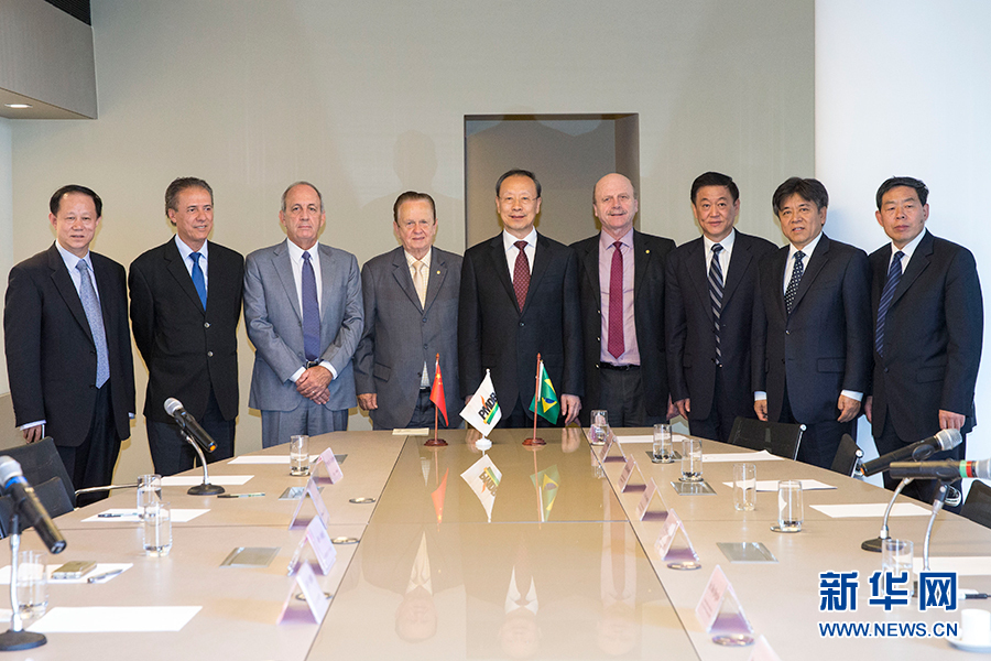 7月11日，在巴西首都巴西利亞，中共中央書記處書記、全國政協(xié)副主席杜青林（中）會見巴西民主運動黨總書記毛羅&middot;洛佩斯（左四）。新華社記者李明攝