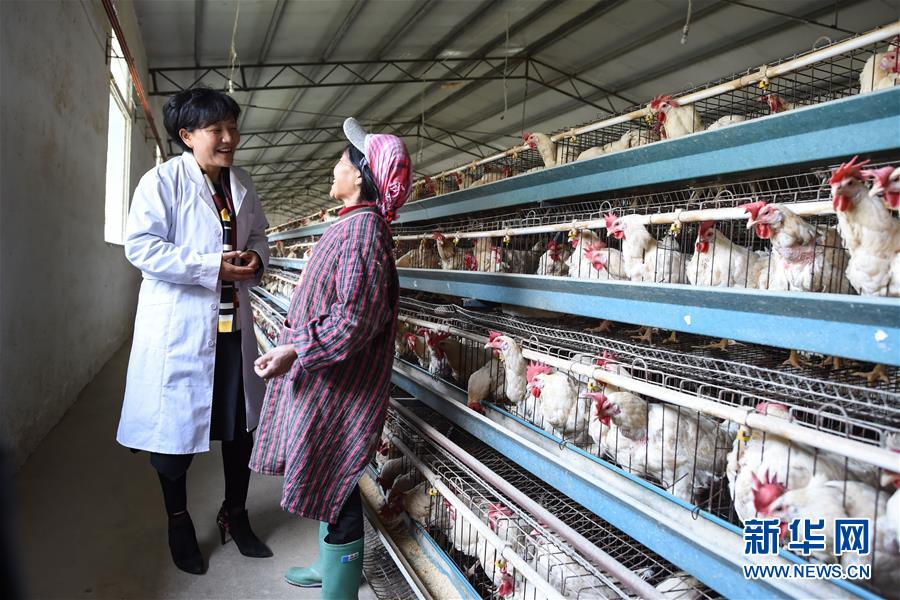 （十九大代表回基層&middot;圖文互動(dòng)）（1）擺脫貧困后，還應(yīng)有更高的精神追求&mdash;&mdash;十九大代表余留芬的&ldquo;宣講時(shí)光&rdquo;