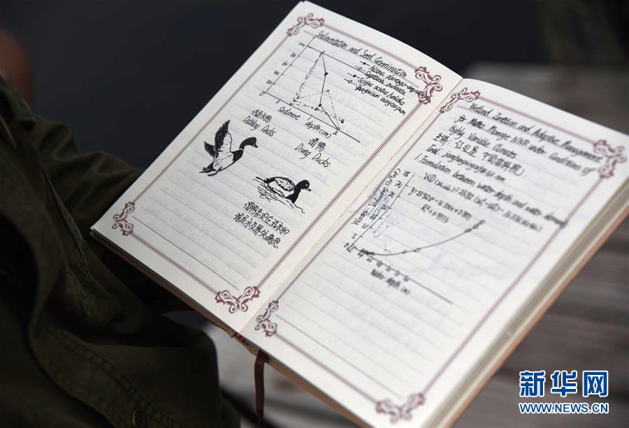 （圖文互動&middot;新華全媒頭條）（8）一家人與一群鶴的生死相守