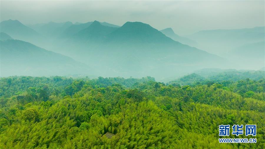 （新華全媒頭條&middot;圖文互動(dòng)）（9）赤水：別了，貧困！