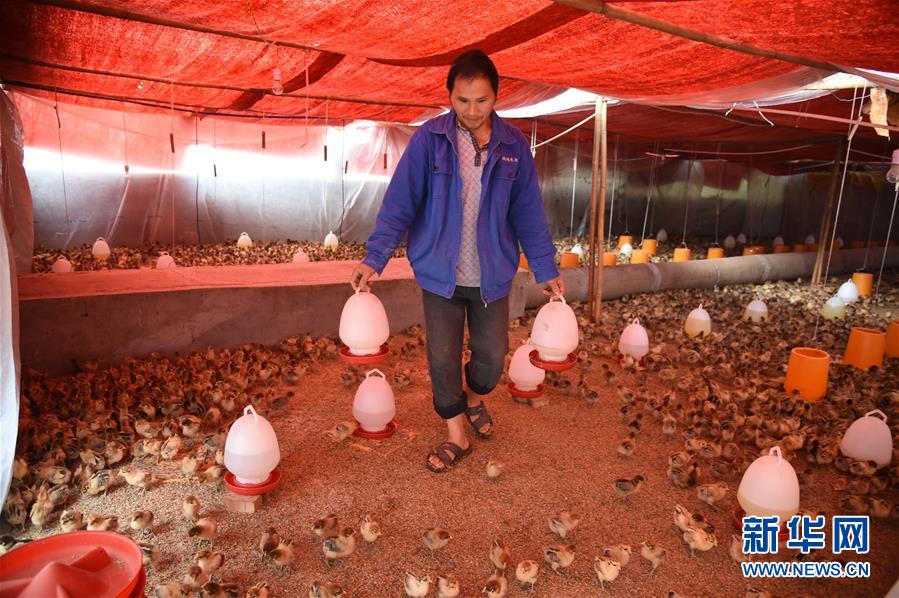 （新華全媒頭條&middot;圖文互動(dòng)）（8）赤水：別了，貧困！