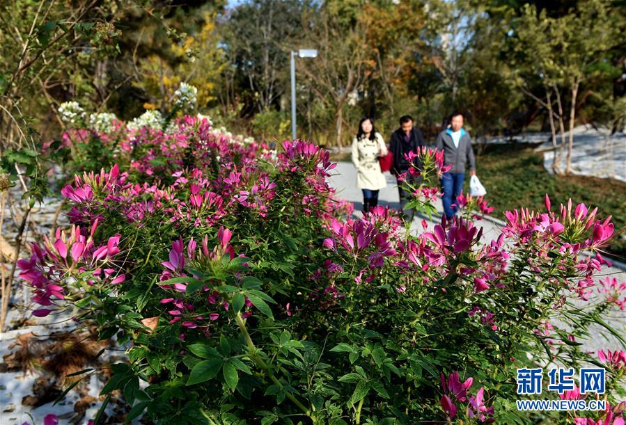 (圖文互動)(1)藍(lán)天白云講述北京新時(shí)代新故事——北京站上新時(shí)代發(fā)展新起點(diǎn)