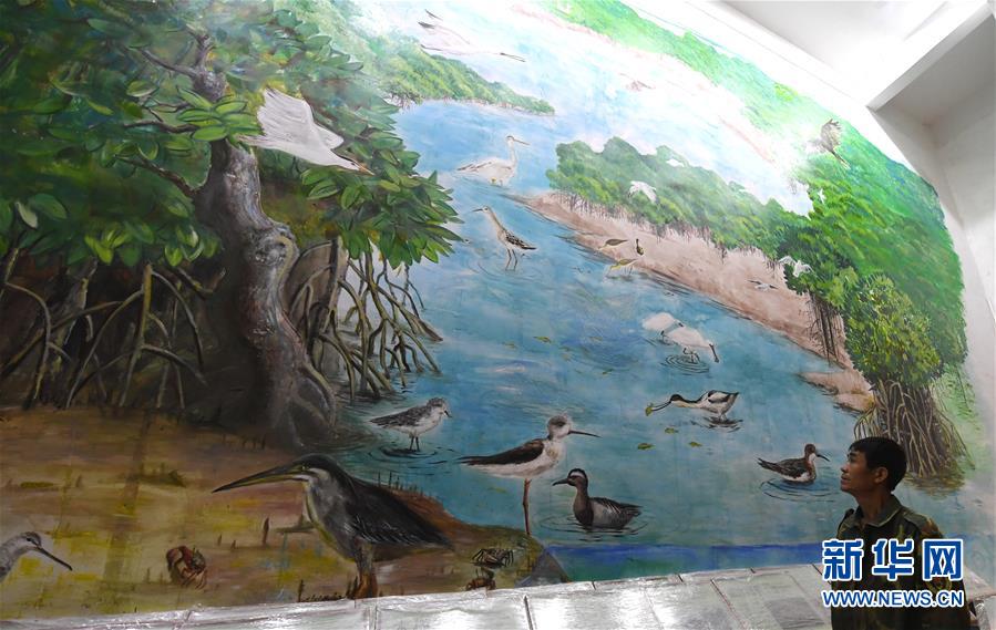 （圖文互動）（5）十年樹木、紅樹成林&mdash;&mdash;&ldquo;海上森林&rdquo;回歸記