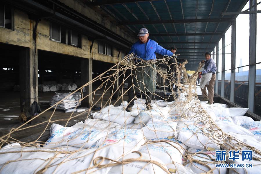 (新春走基層)(4)安徽:農(nóng)資“春運(yùn)”助春耕