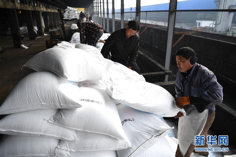 (新春走基層)(5)安徽:農(nóng)資“春運”助春耕