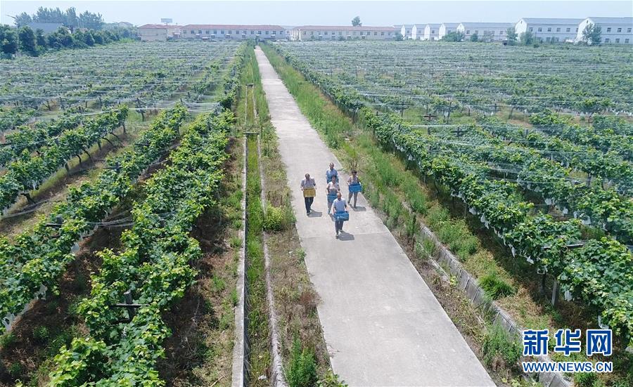 （新華全媒頭條&middot;紀(jì)念改革開放40年特稿&middot;圖文互動）（5）向著新航程揚帆奮進(jìn)！&mdash;&mdash;從小崗精神看中國改革開放40年