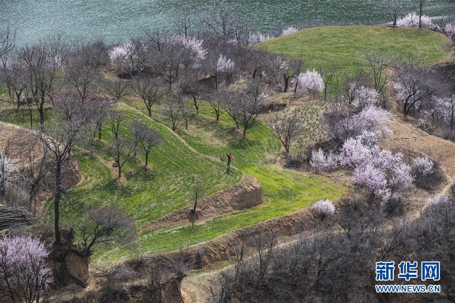 #（環(huán)境）（2）春來(lái)花盛開