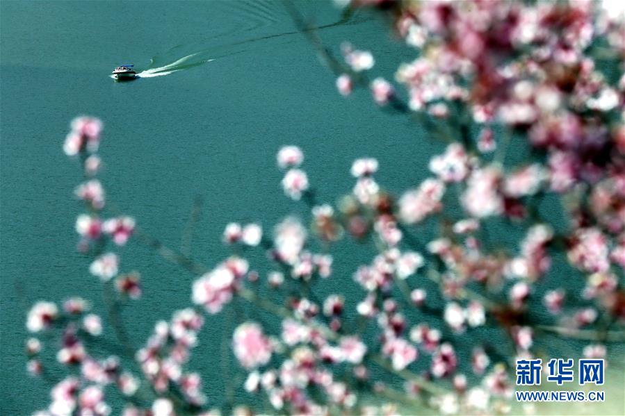 #（社會）（4）踏春賞景正當(dāng)時(shí)