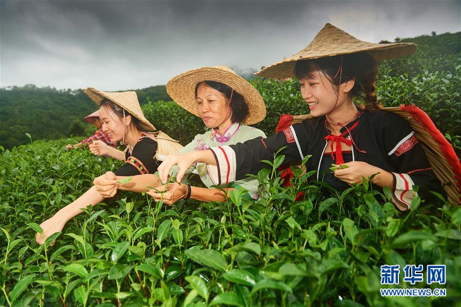 (新華全媒頭條·潮起海之南·圖文互動)(7)春潮拍岸千帆進——海南特區(qū)改革開放30年紀(jì)實